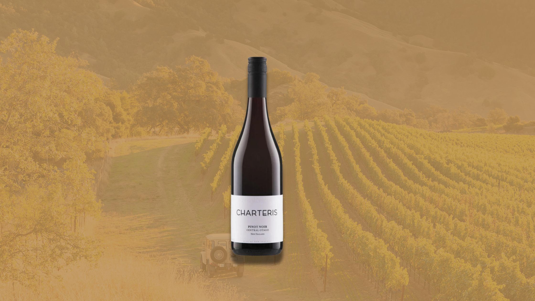 Oregon, Burgundy, or Central Otago Pinot Noir